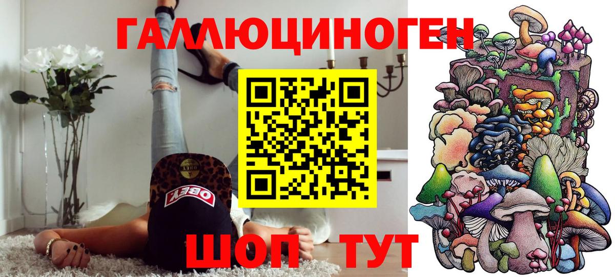 Алушта  где купить наркоту  Вход с VPN  Псилоцибиновые грибы мицелий 